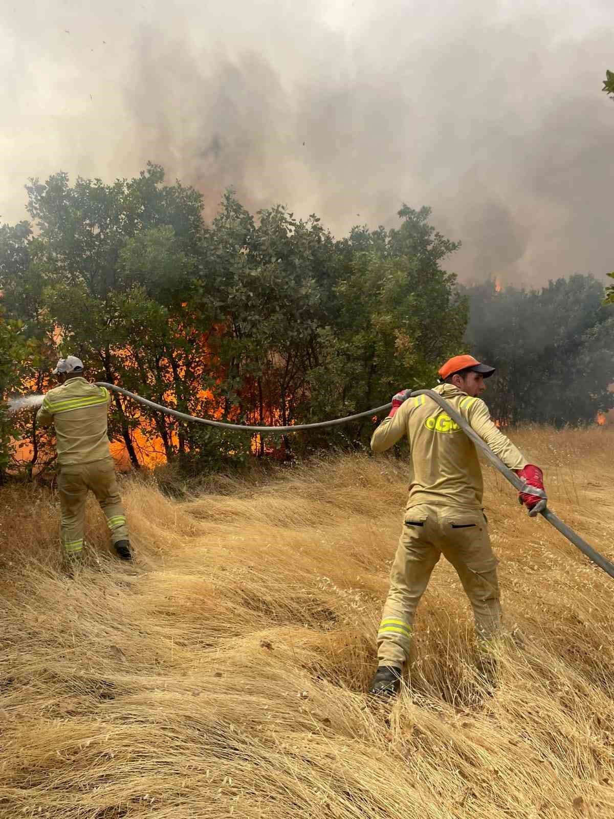 Diyarbakır’da ormanlık alana sıçrayan örtü yangını söndürüldü