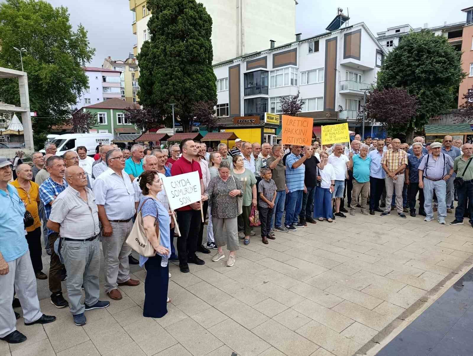 Eynesil’de çay üreticilerinden tepki: "ÇAYKUR üreticiyi özel sektörün insafına bıraktı"
