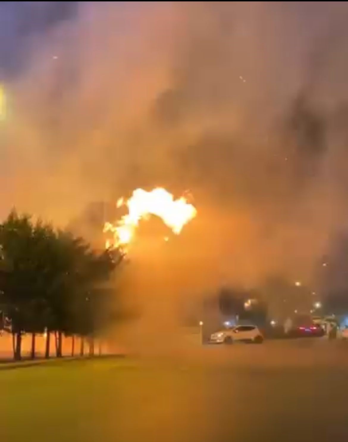 &Ccedil;ocukların torpille oyunu ağa&ccedil;lık alanı tutuşturdu: &Ccedil;ok sayıda ağa&ccedil; k&uuml;le d&ouml;nd&uuml;
