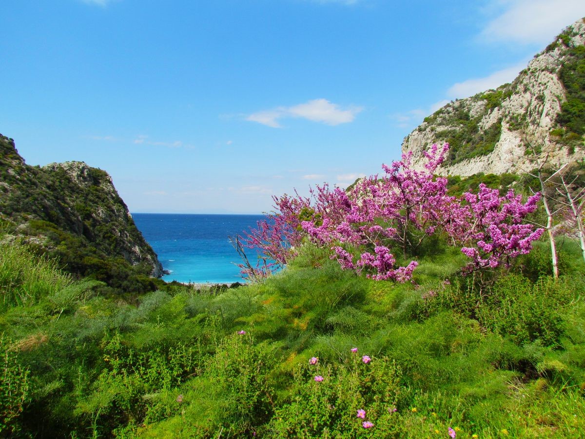 Doğaseverler ’Dilek Yarımadası’na dikkat çekti