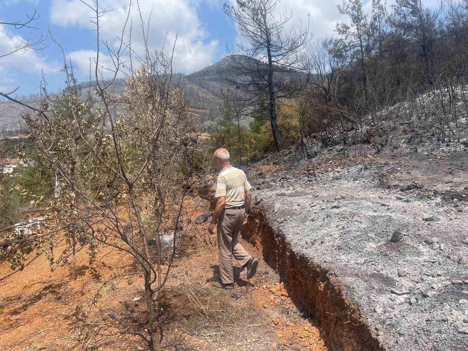 Bursa&rsquo;daki yangında 300 kovan arı telef oldu
