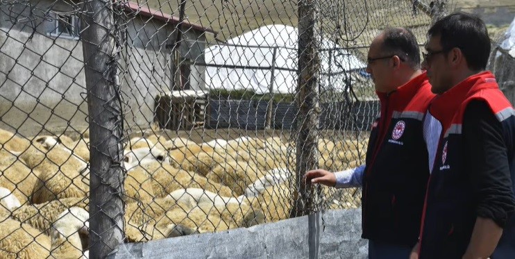 Bayburt’ta küçükbaş hayvan işletmelerindeki çalışmalar incelendi