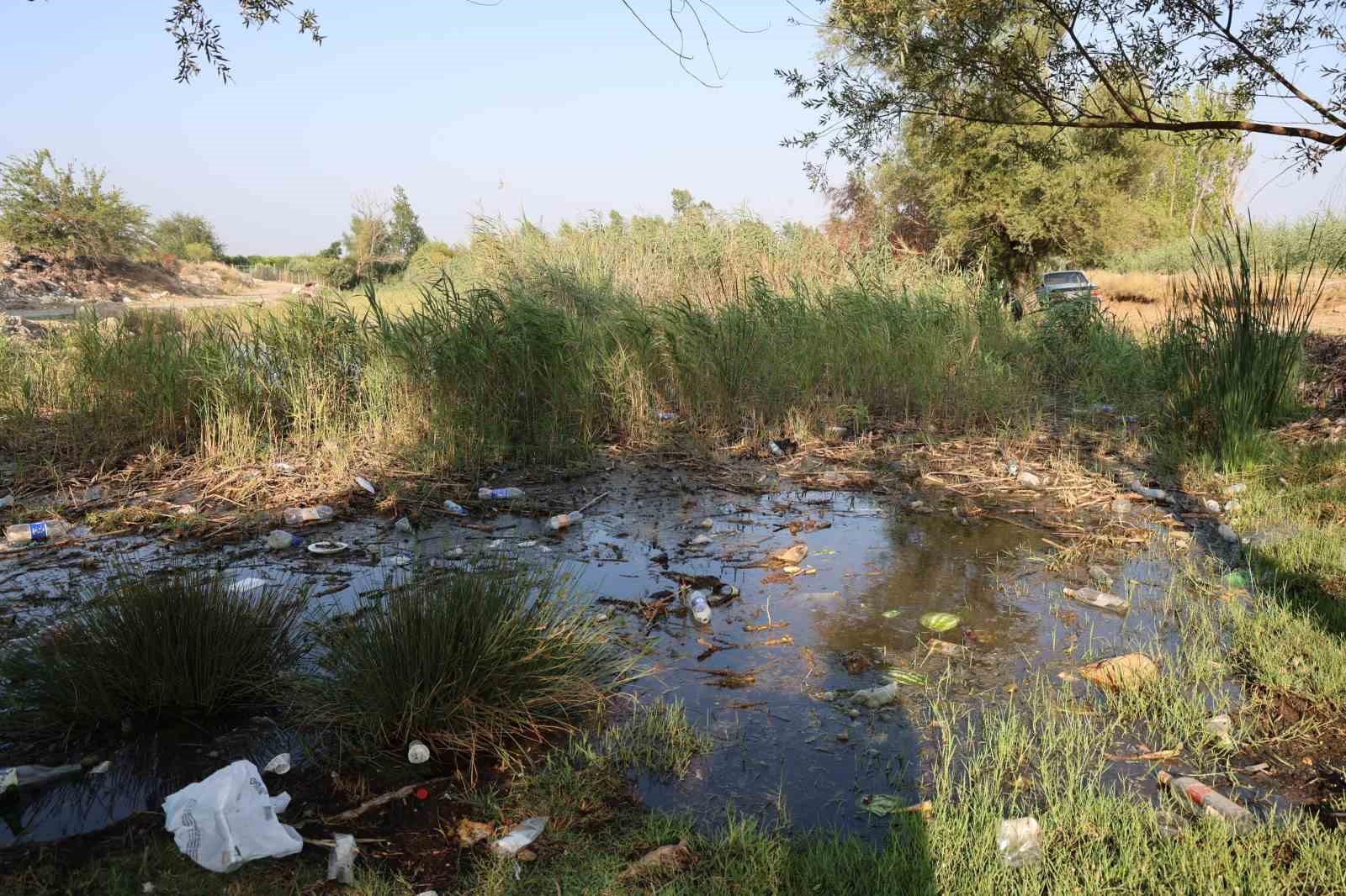 Göletler çöple doldu, muhtar isyan etti: "Kirletecekseniz gelmeyin"