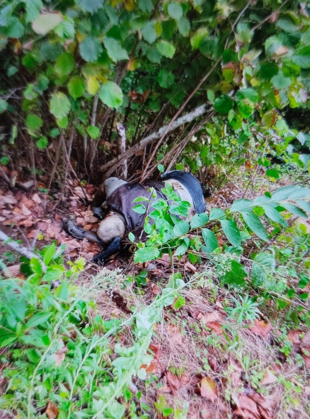 Trabzon&rsquo;da 10 g&uuml;n &ouml;nce kaybolan şahsın cansız bedeni bulundu
