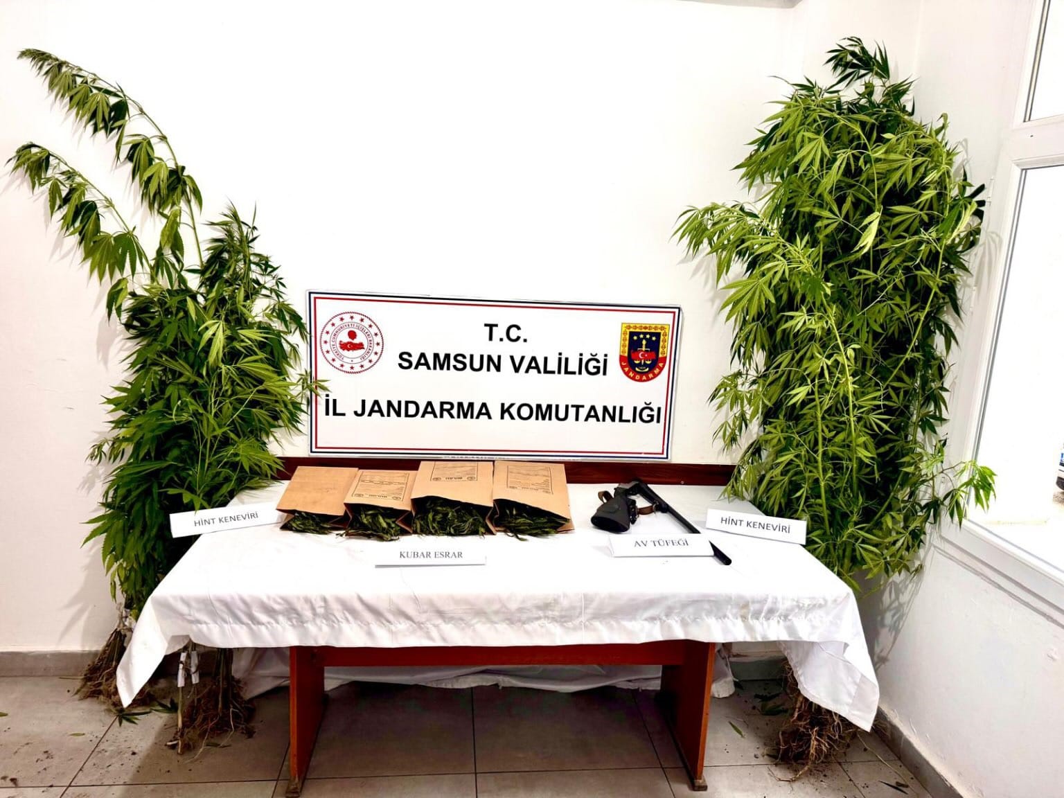 Jandarma kubar esrar ve kenevir ele geçirdi