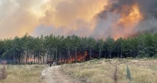 Antalya’da 2025’te 118 orman yangını çıktı, 540 hektar alan zarar gördü