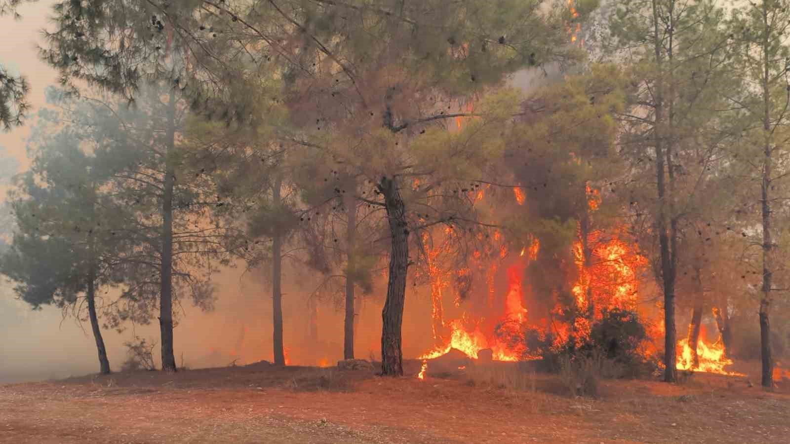 Antalya&rsquo;da 2025&rsquo;te 118 orman yangını &ccedil;ıktı, 540 hektar alan zarar g&ouml;rd&uuml;
