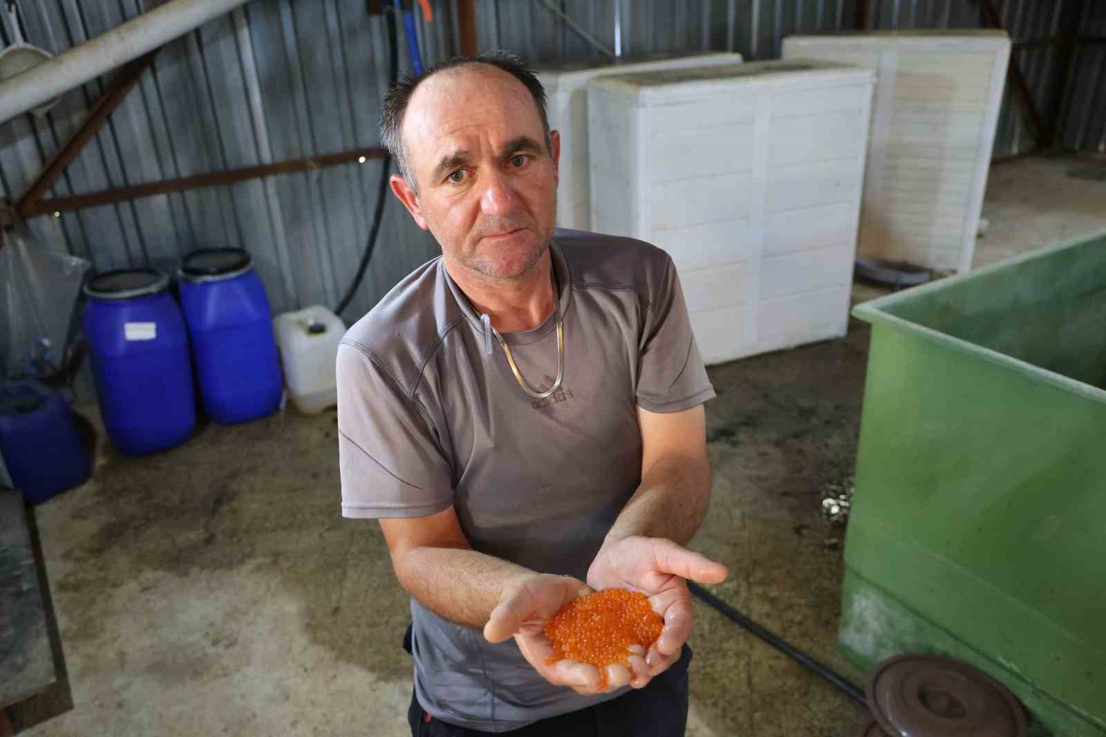 Laboratuvar değil alabalık &uuml;retim tesisi
