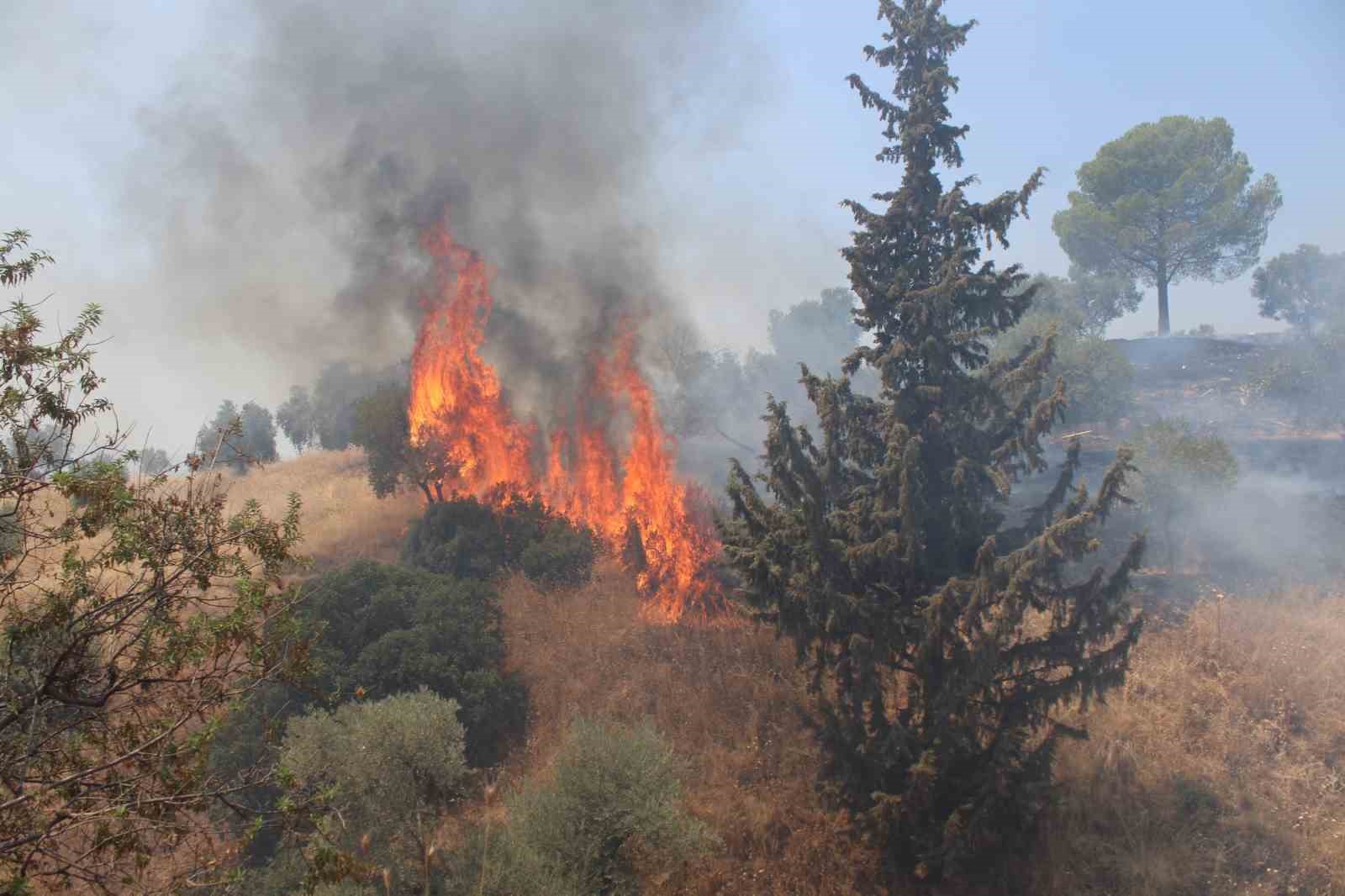 Havaya ateş açan şahıslar yangına sebep oldu

