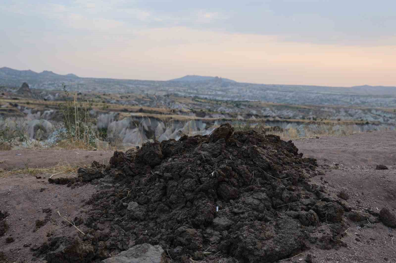 Peribacaları arasındaki g&uuml;breler b&uuml;y&uuml;k tepki topladı
