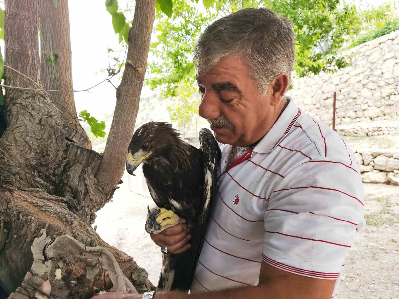 Kaya kartalı ile şahsın dostluğu görenleri şaşırtıyor