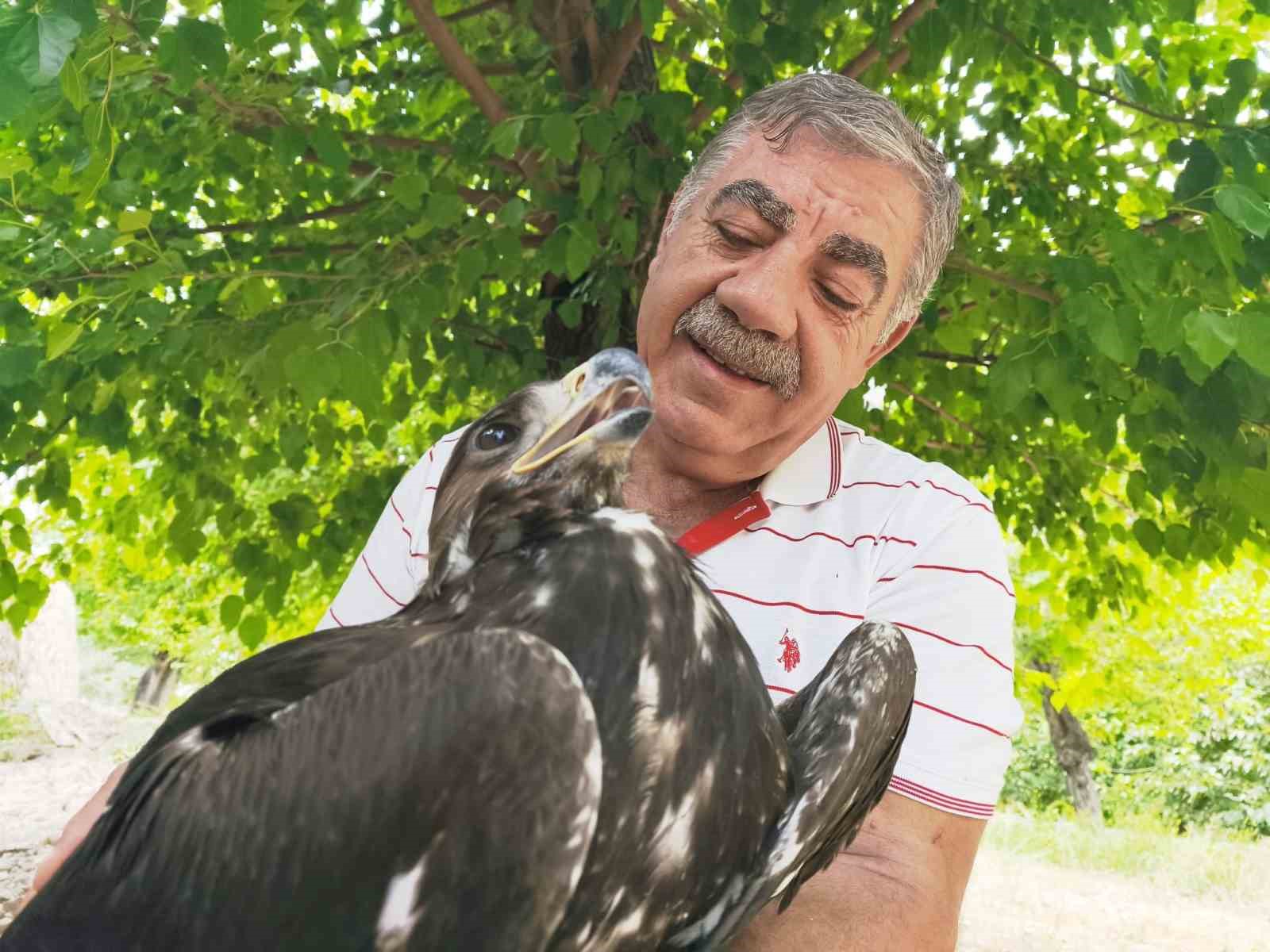 Kaya kartalı ile şahsın dostluğu g&ouml;renleri şaşırtıyor
