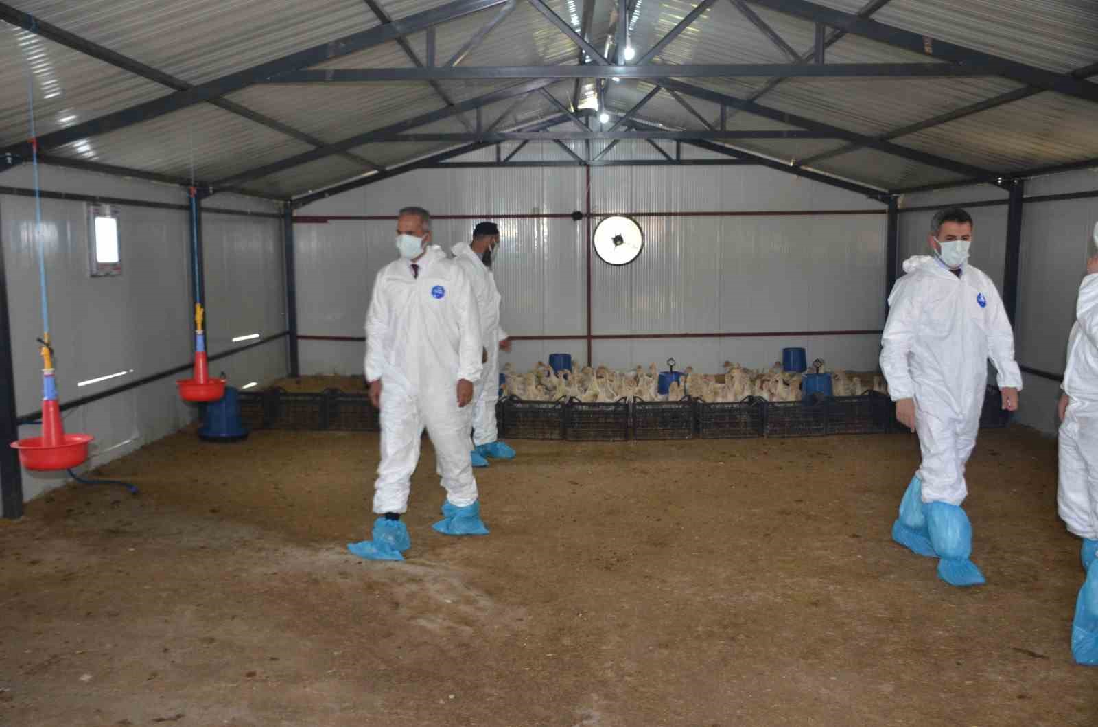 Bulanık’ta "Kaz Yetiştiriciliği" projesi kapanış programı gerçekleştirildi