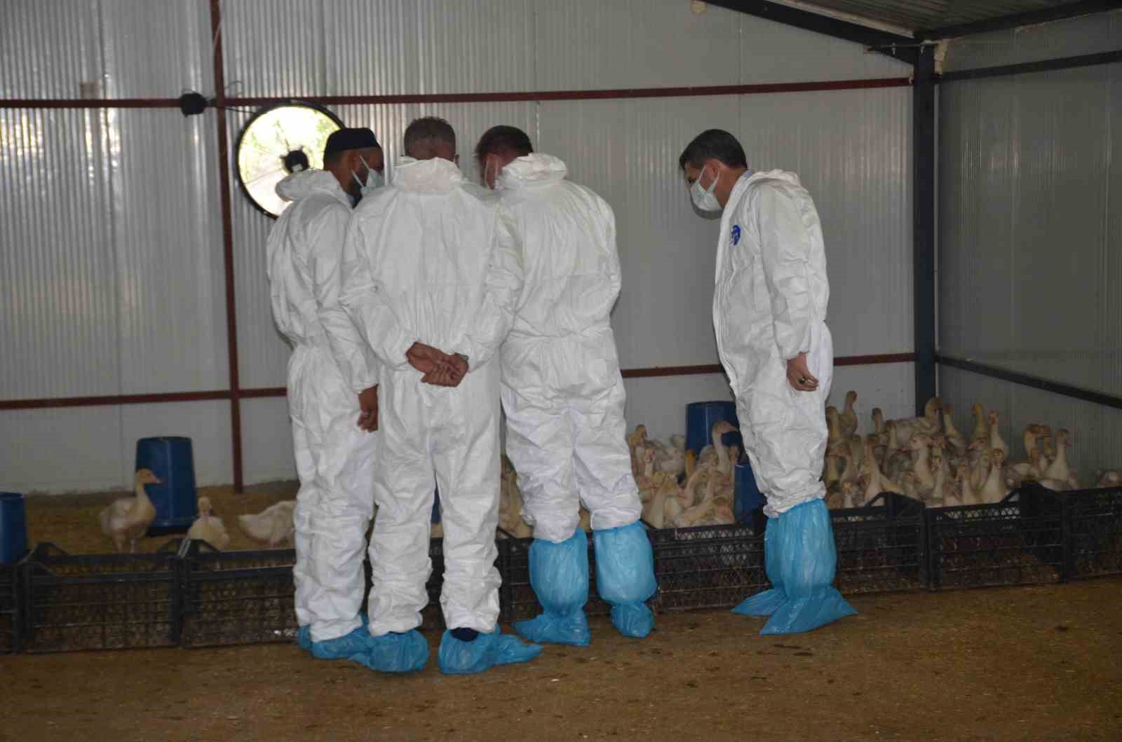 Bulanık&rsquo;ta "Kaz Yetiştiriciliği" projesi kapanış programı ger&ccedil;ekleştirildi
