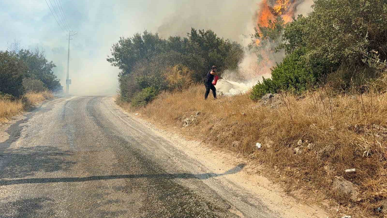 Bodrum’da makilik alanda yangın paniği: "Havadan ve karadan müdahale sürüyor"