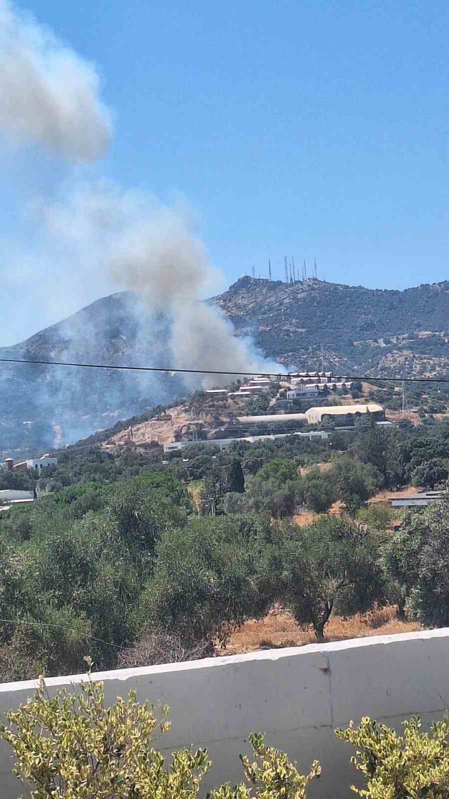 Bodrum’da makilik alanda yangın paniği: "Havadan ve karadan müdahale sürüyor"