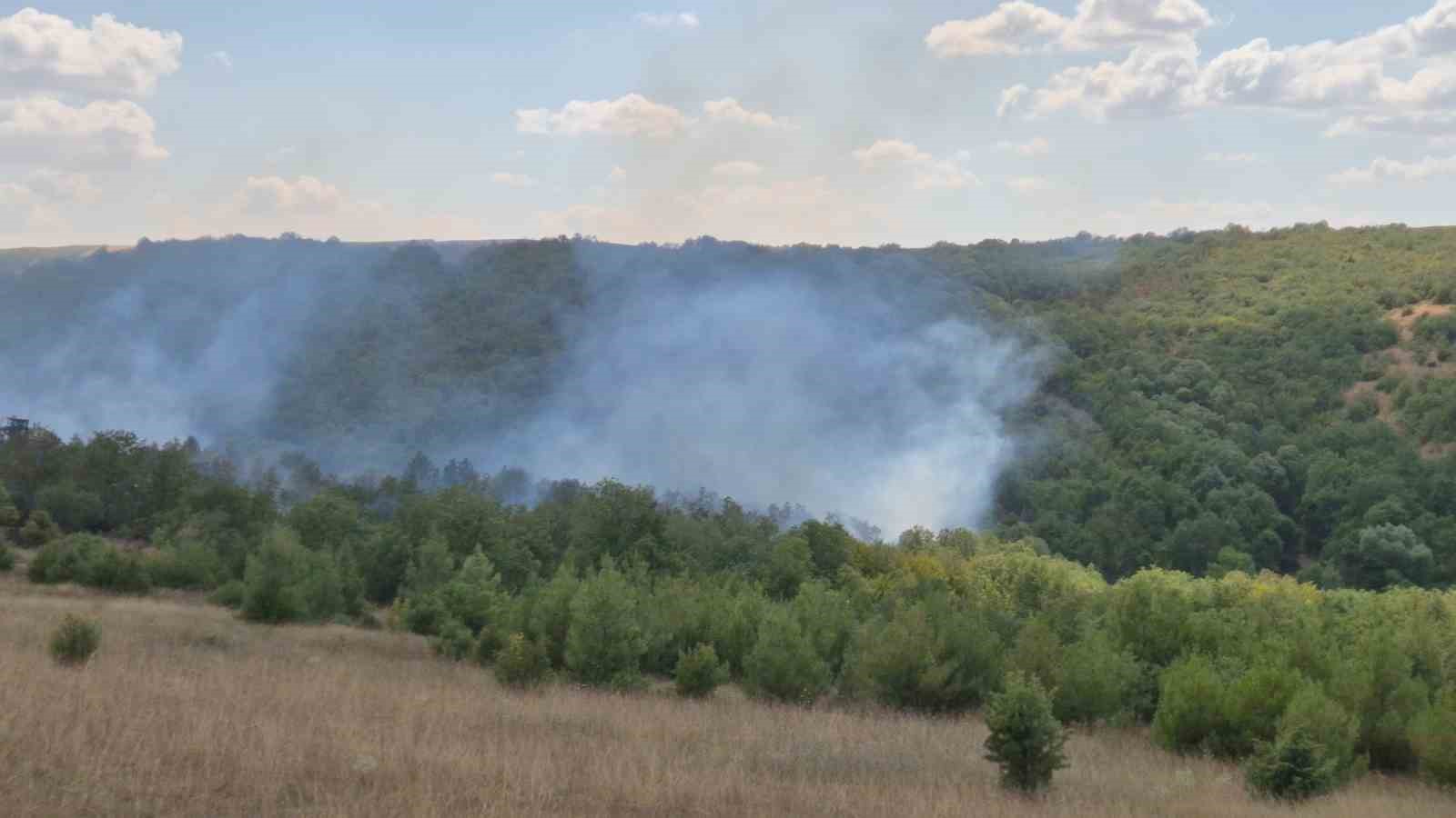 Tekirdağ’da orman yangını