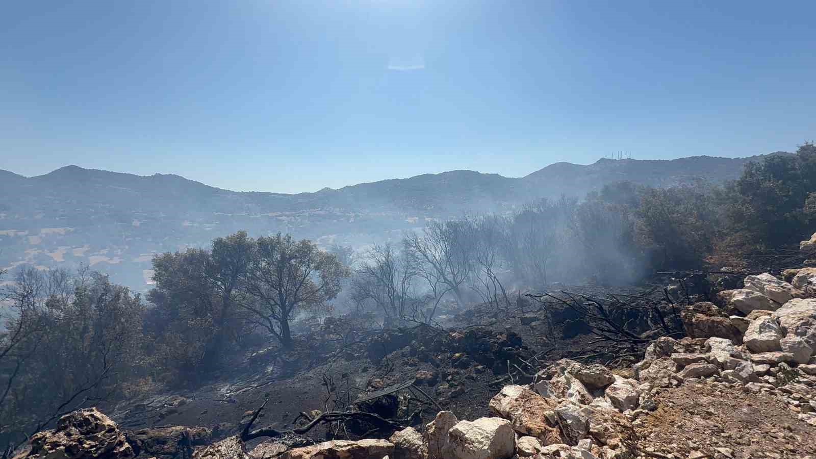 Bodrum&rsquo;da u&ccedil;aklardan alevlere su bombardımanı
