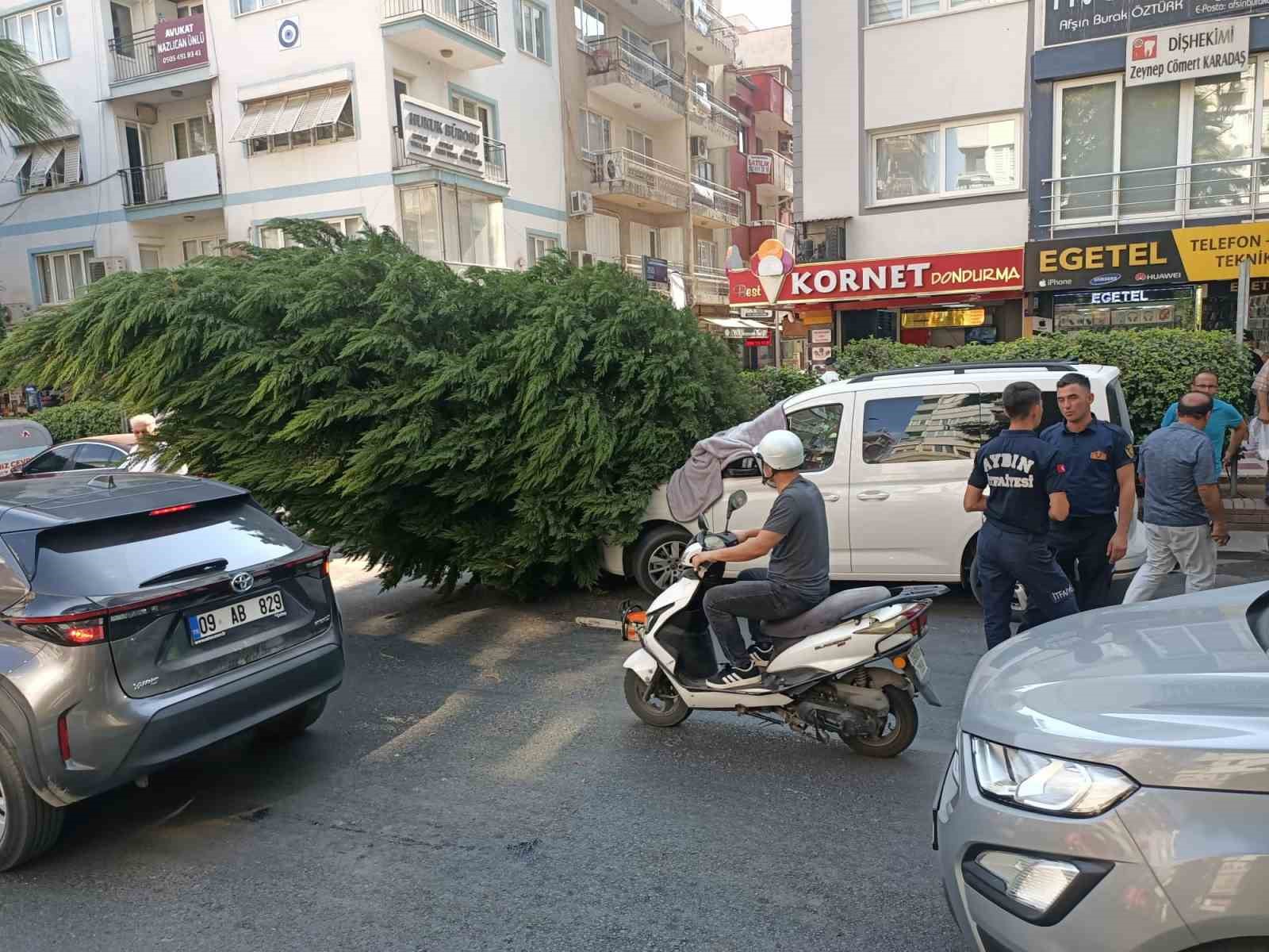 Aydın&rsquo;da ağa&ccedil; aracın &uuml;st&uuml;ne devrildi
