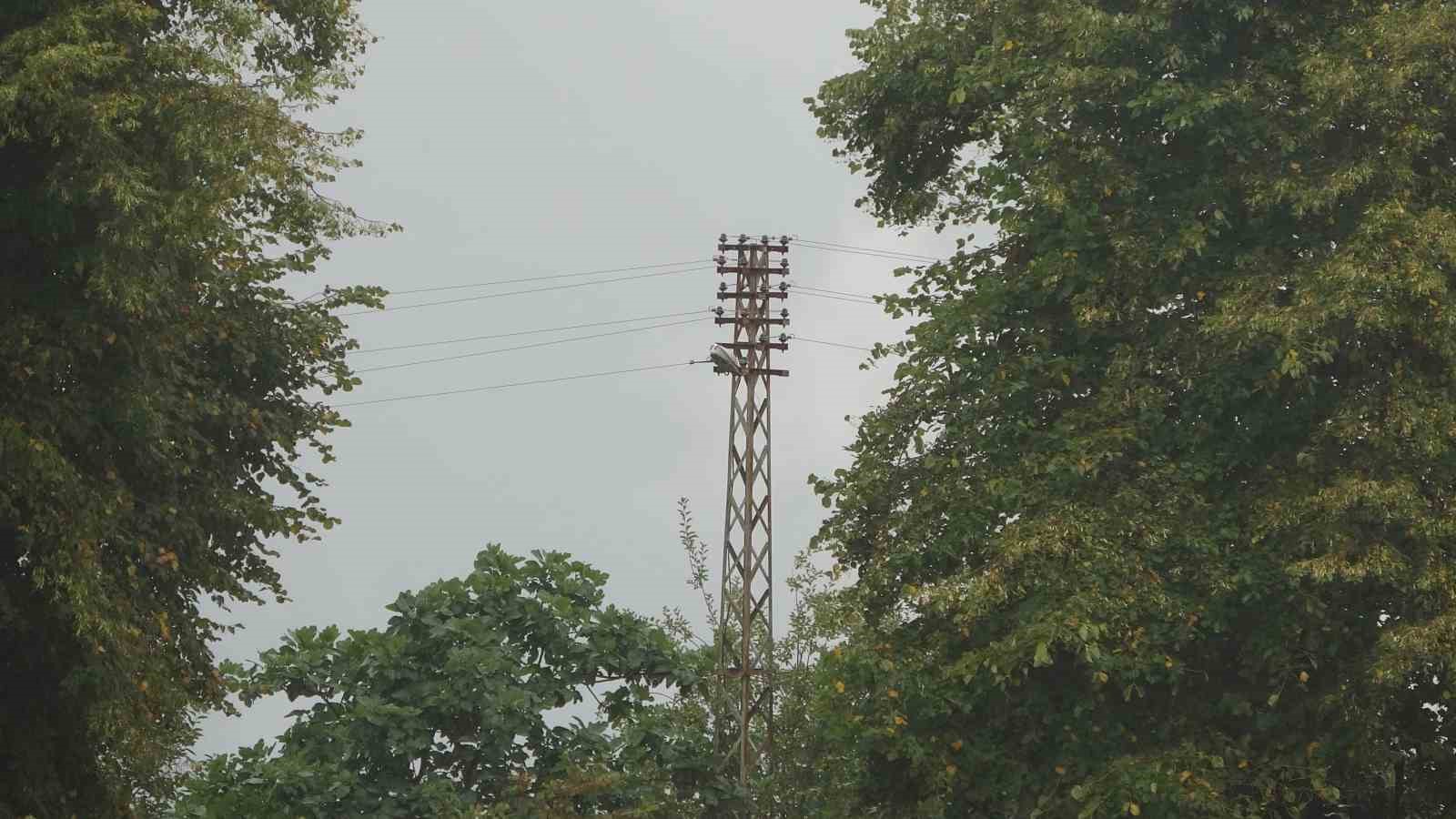 Ordu&rsquo;da yazlık&ccedil;ılar geldi, voltaj d&uuml;şt&uuml;
