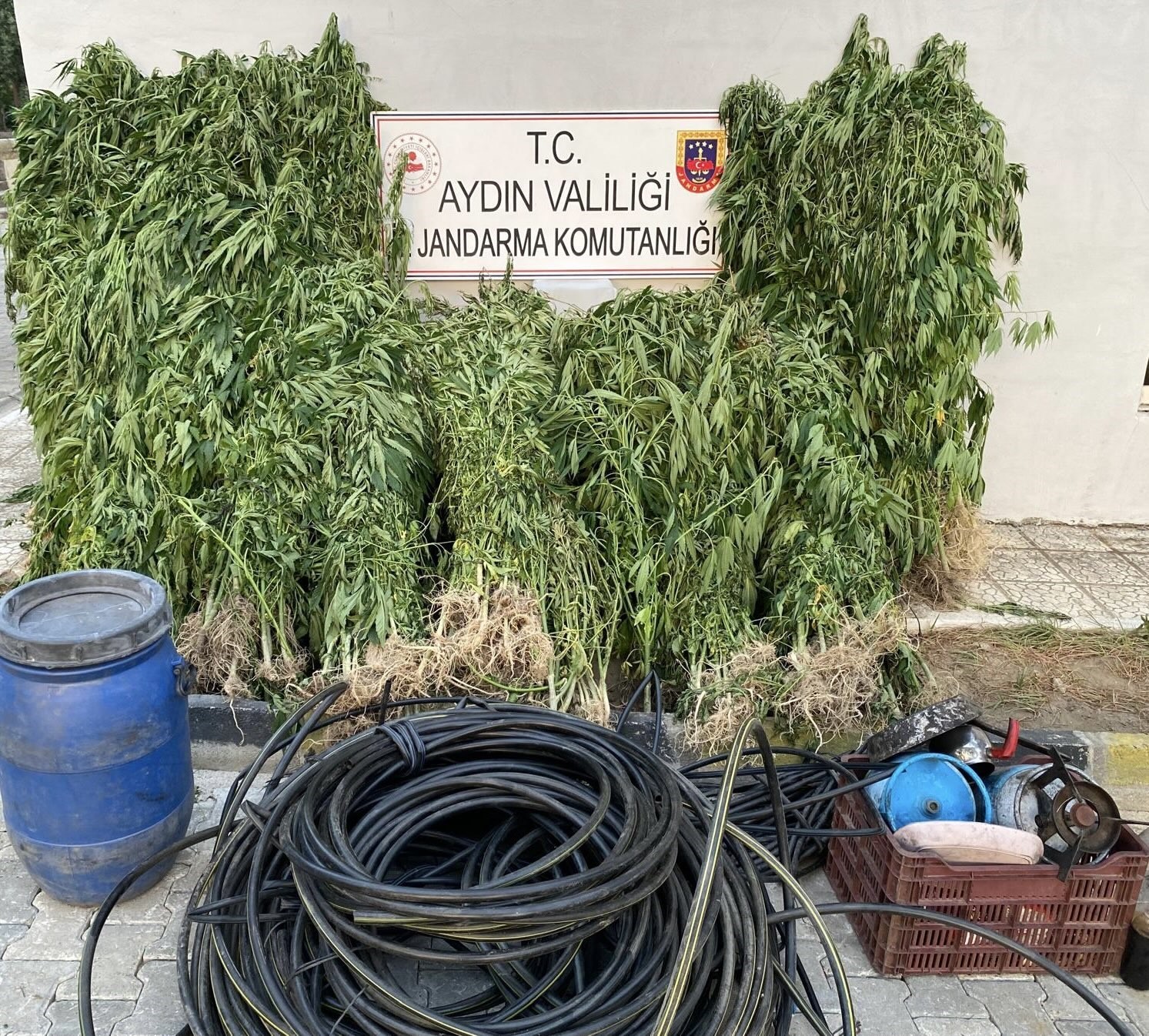 Jandarmadan uyuşturucu operasyonu: 17 yakalama