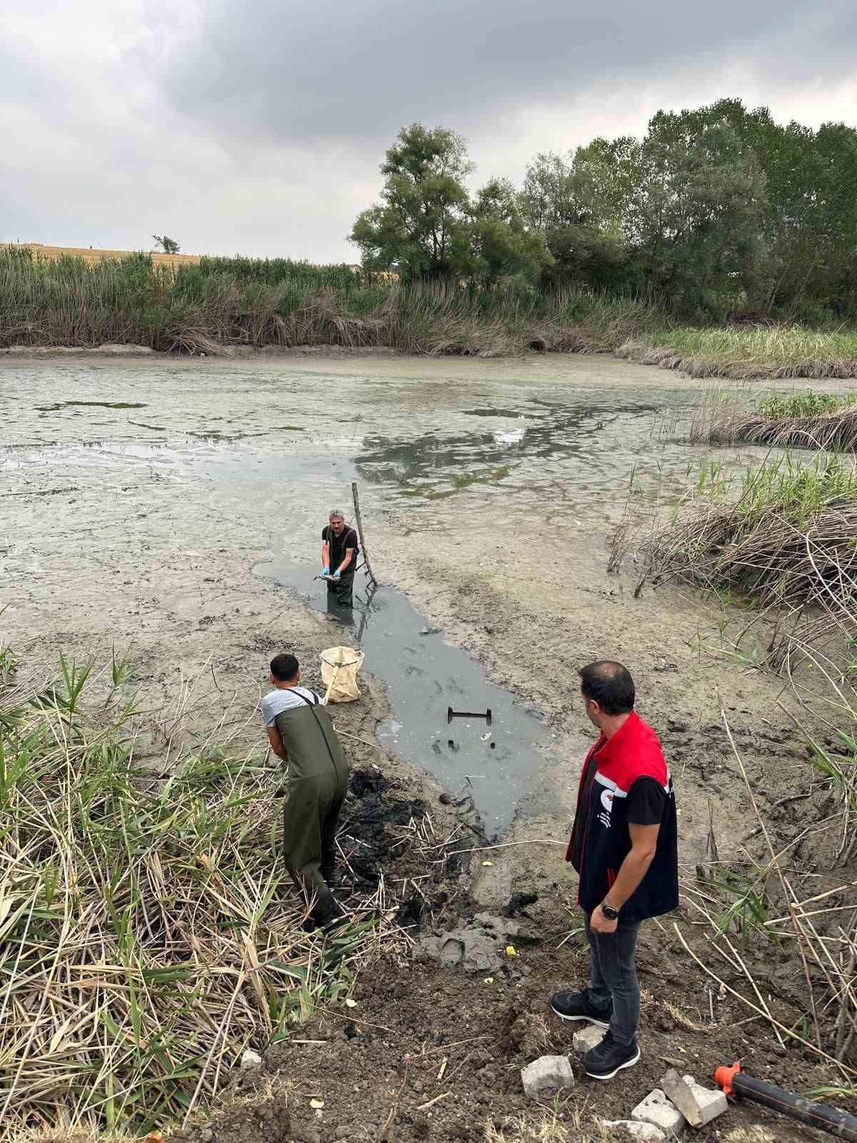 Bolu’da, kuruyan gölette mahsur kalan balıklar kurtarıldı
