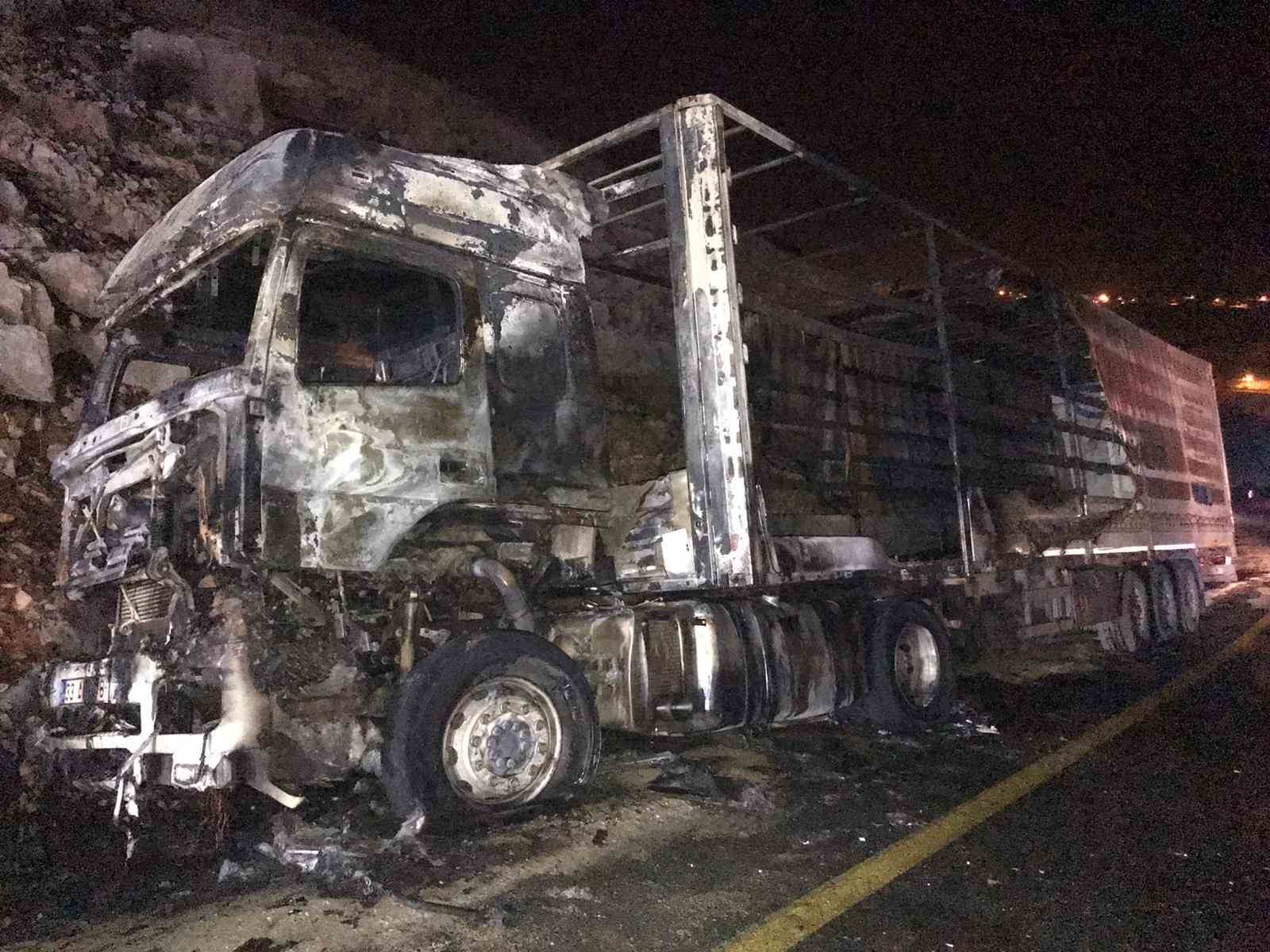 Mardin’de alevlere teslim olan tır, geceyi aydınlattı