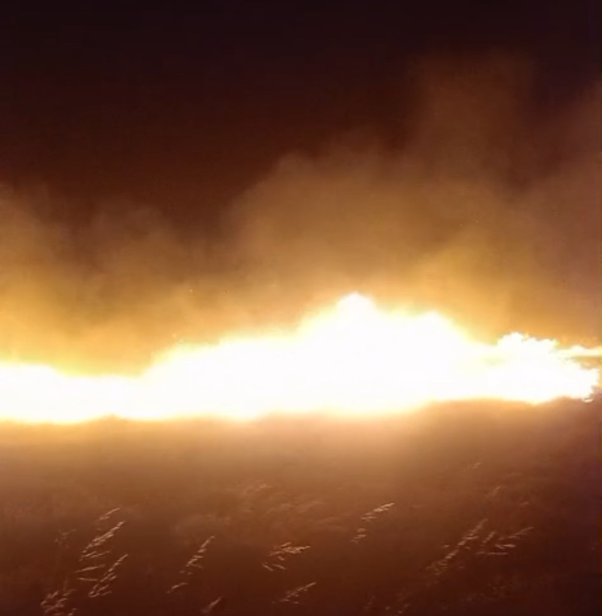 Avşa Adası&rsquo;nda &ccedil;ıkan arazi yangını kontrol altına alındı
