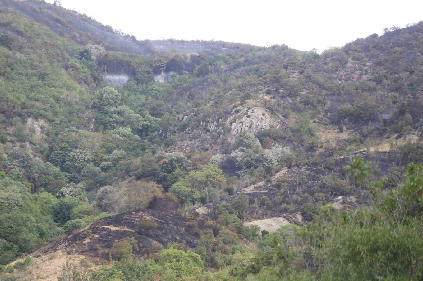 Tekirdağ&rsquo;da orman yangınında soğutma &ccedil;alışmaları s&uuml;r&uuml;yor
