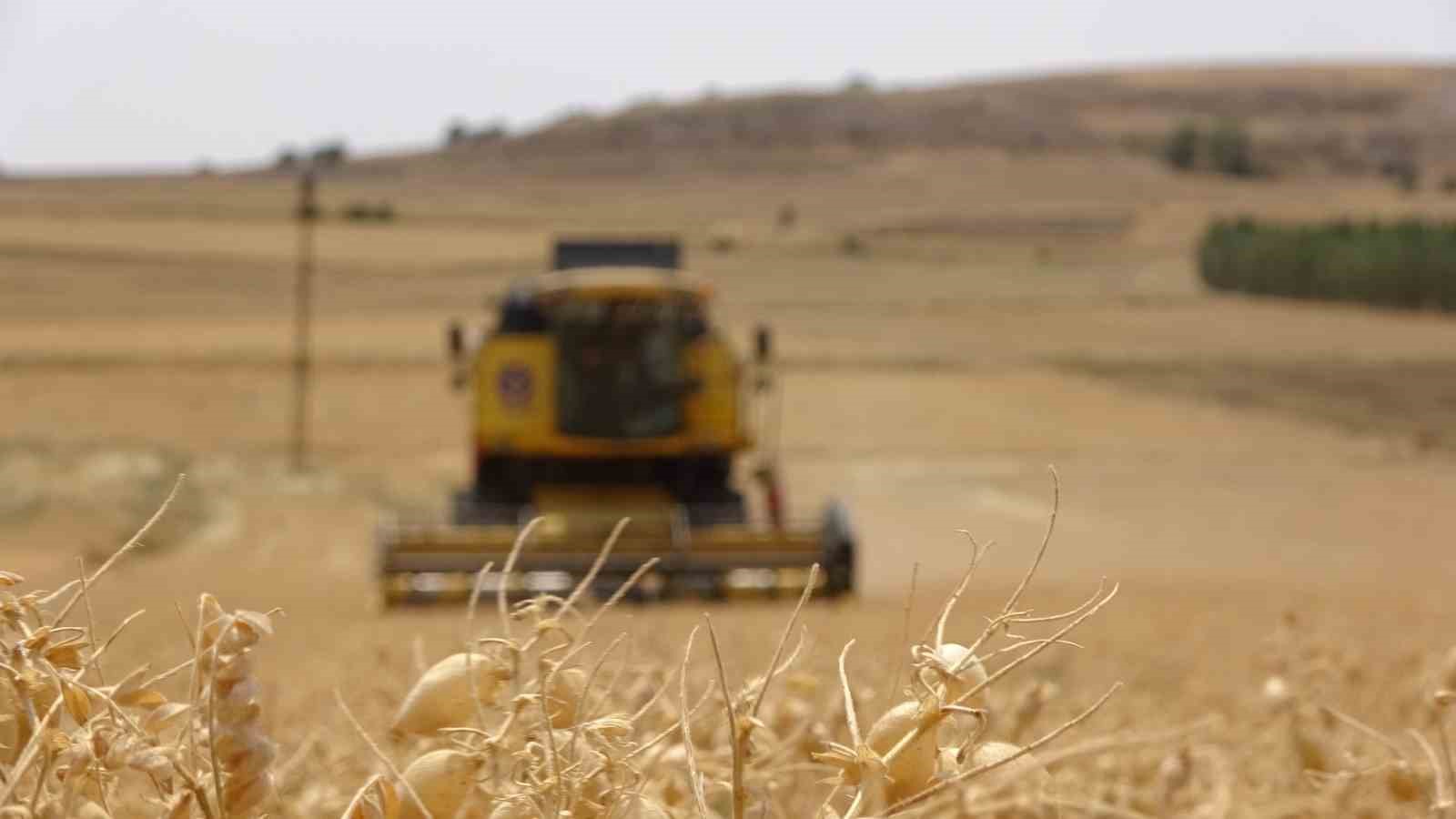 Sorgunlu üretici nohut için tescil istiyor