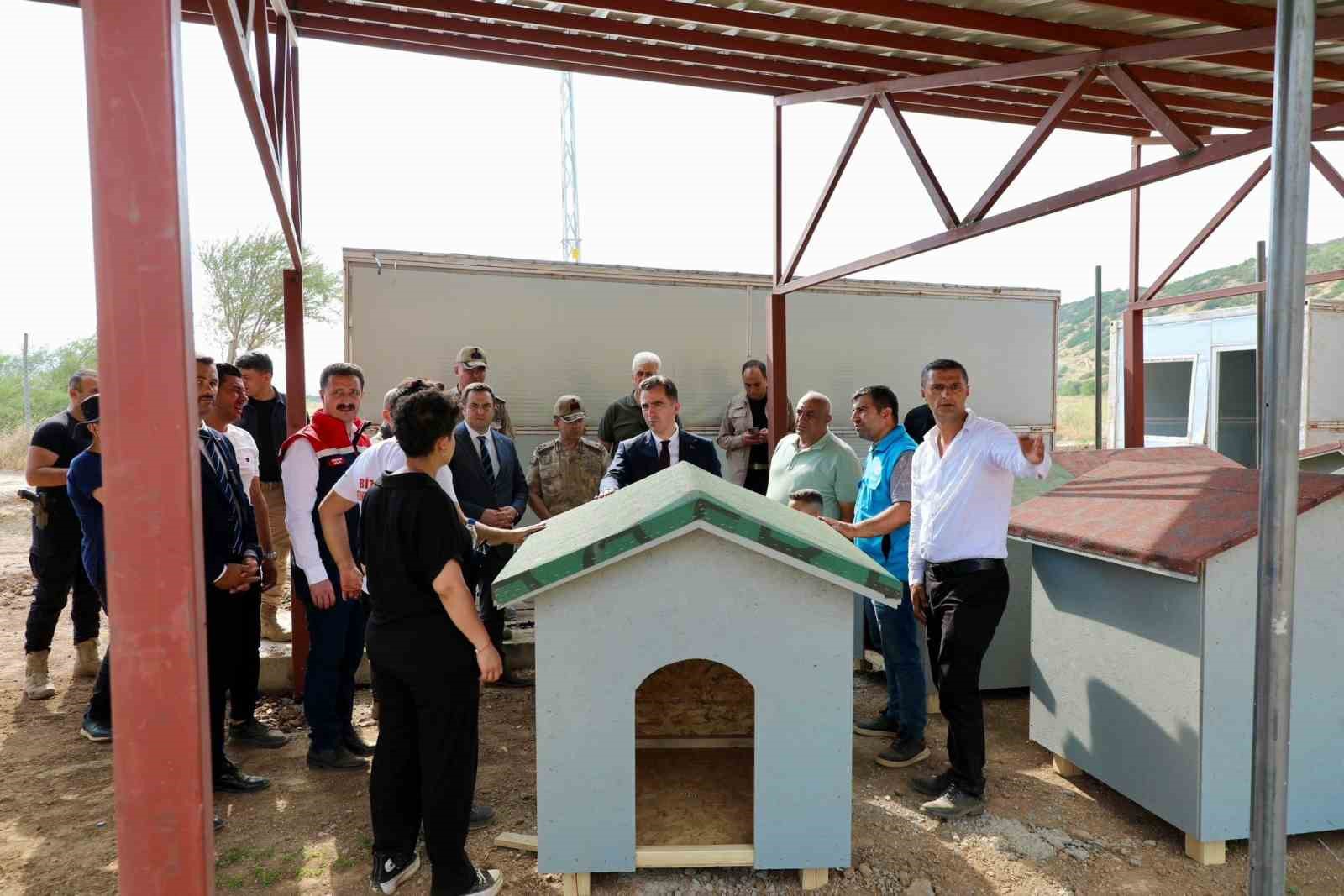 Bitlis’teki hayvan barınağı ve doğal yaşam alanı çalışmaları