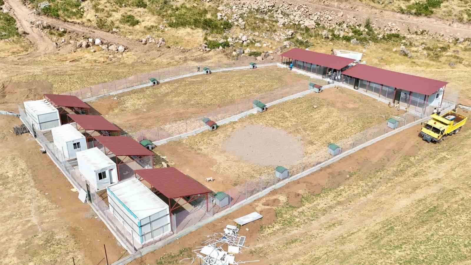 Bitlis&rsquo;teki hayvan barınağı ve doğal yaşam alanı &ccedil;alışmaları
