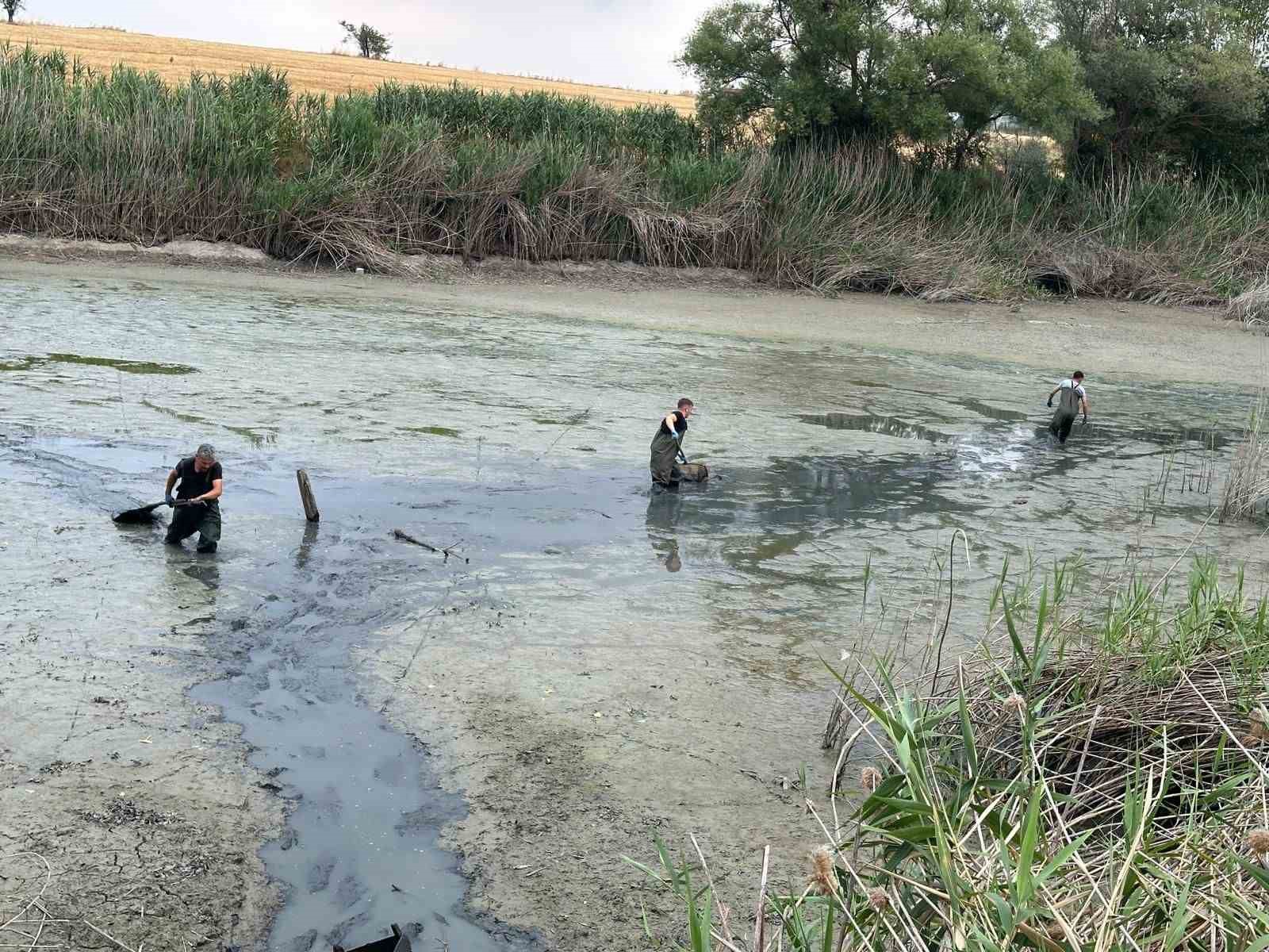 Bolu’da, kuruyan gölette mahsur kalan balıklar kurtarıldı