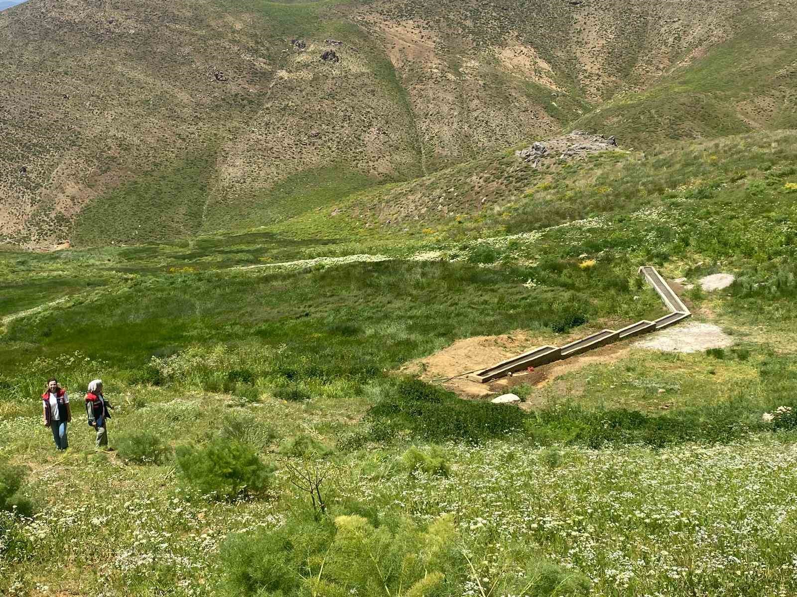 Siirt&rsquo;te mera ıslah projesi hayata ge&ccedil;irildi
