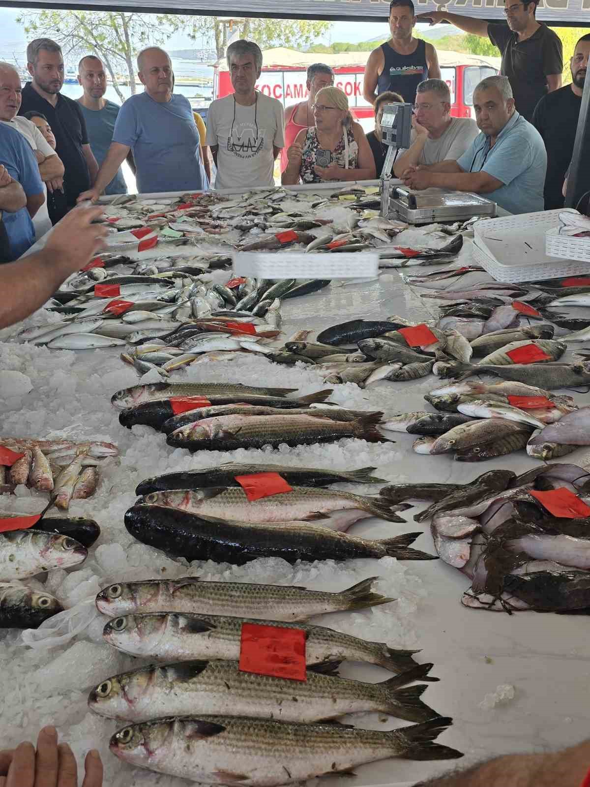 Didim’de ilk balık mezatı gerçekleştirildi