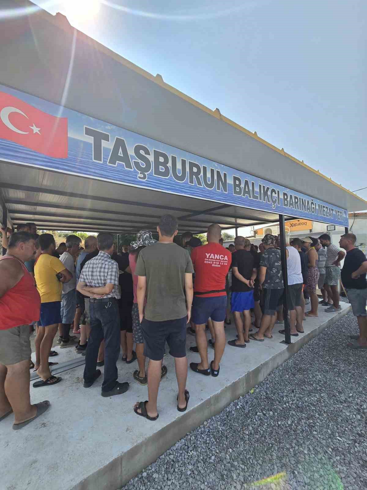Didim&rsquo;de ilk balık mezatı ger&ccedil;ekleştirildi
