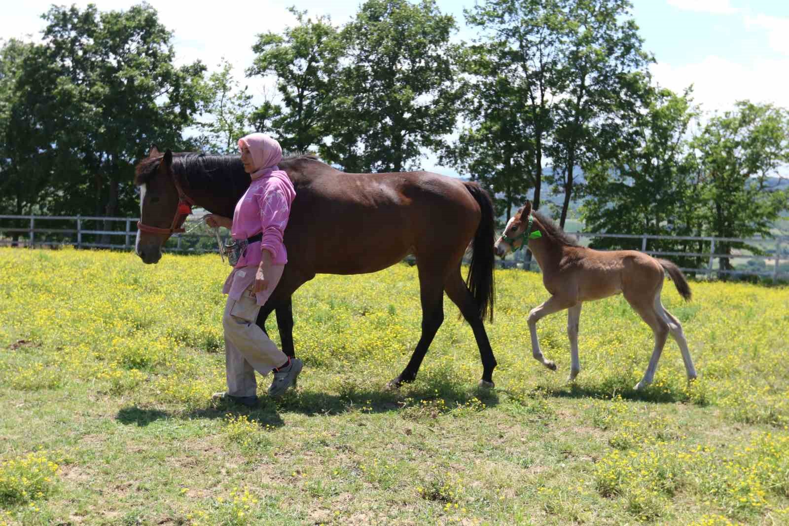 Yaşları küçük, değerleri milyon
