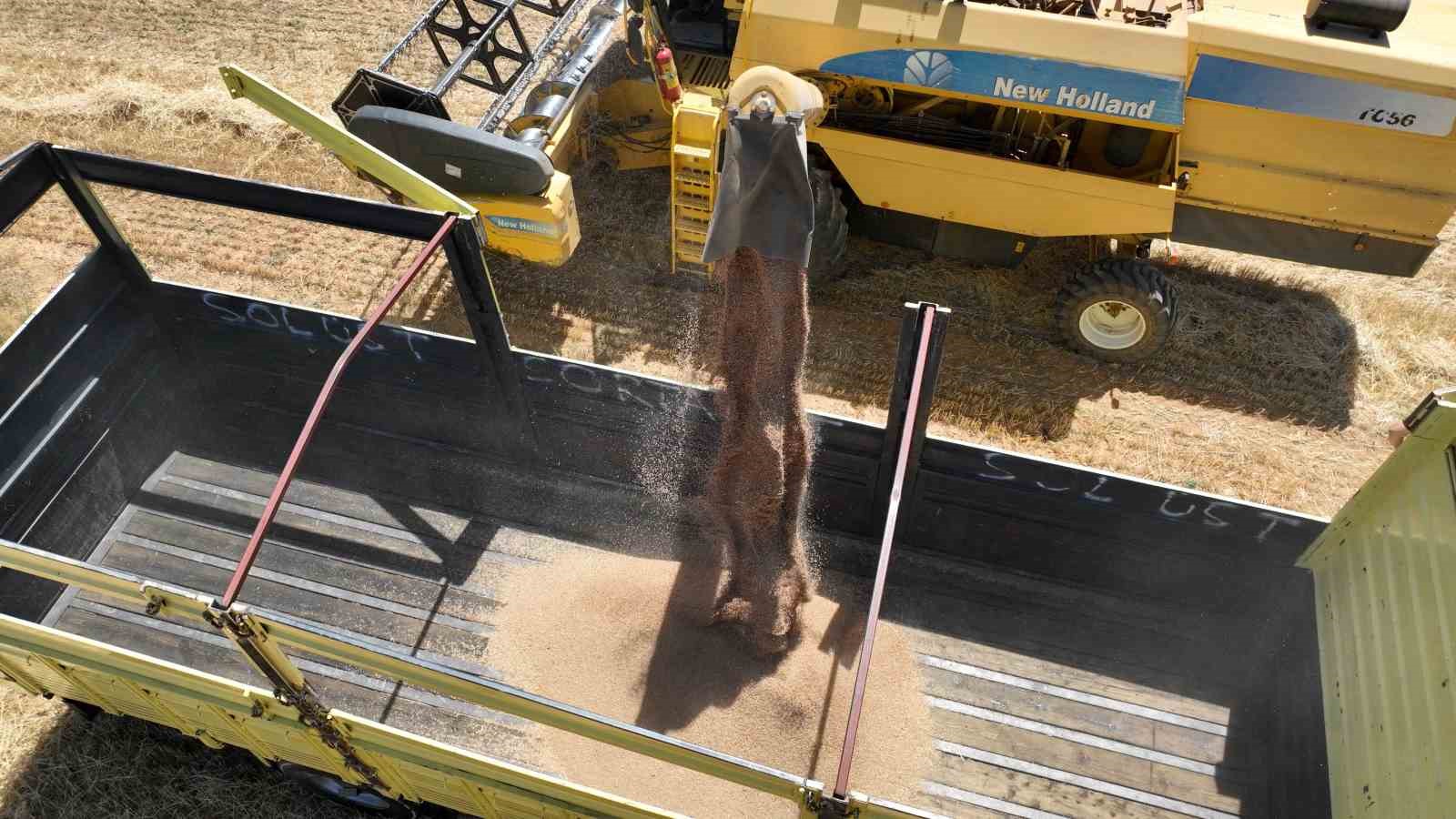 Halk Ekmek i&ccedil;in buğday hasadı başladı
