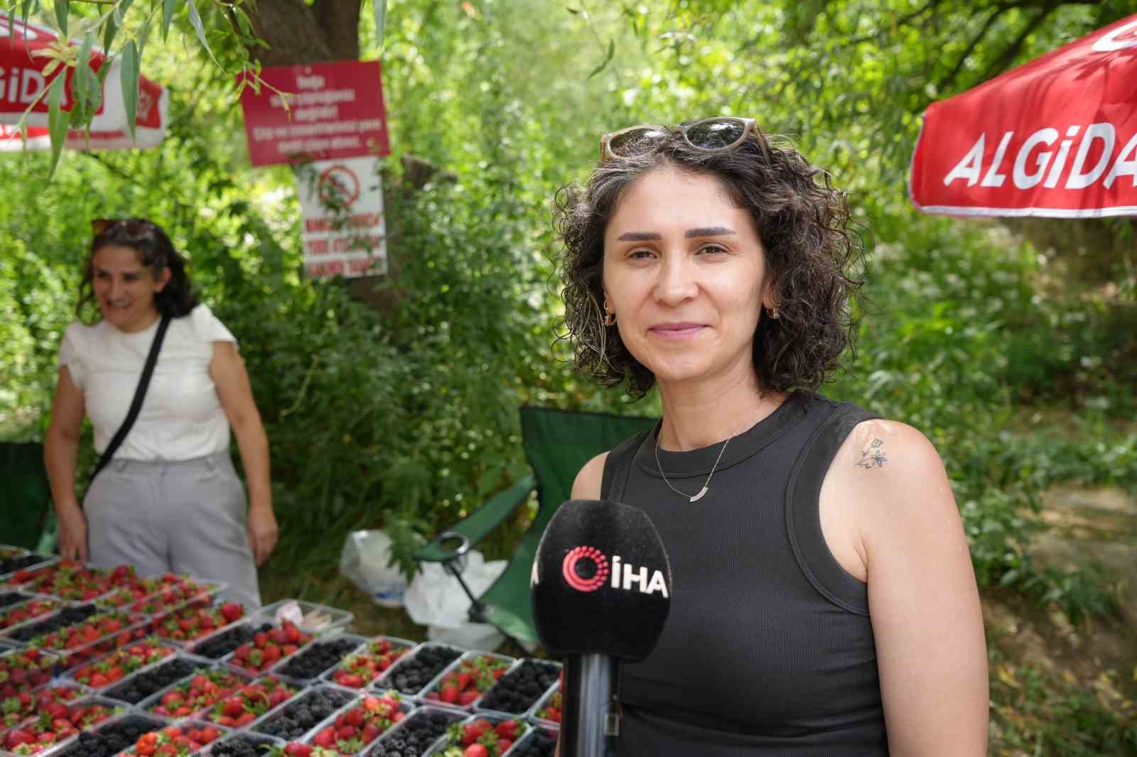 Kavurucu sıcaklarda çilek ve böğürtlen mevsimi