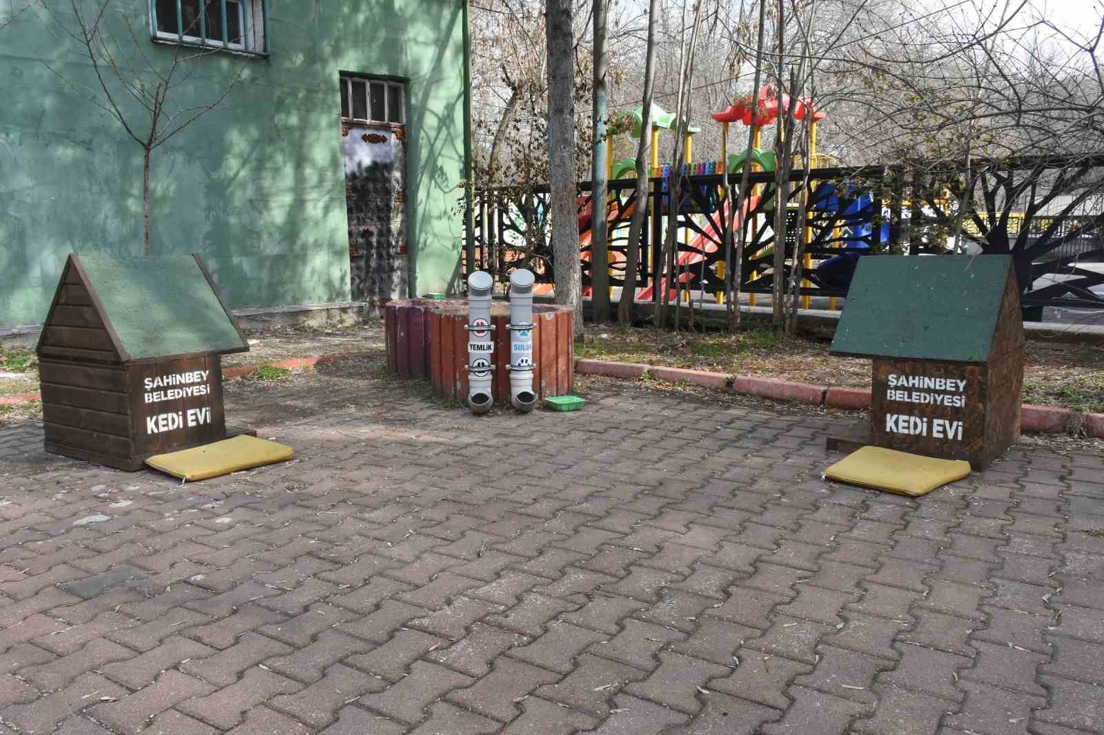 Başkan Tahmazoğlu: "Sıcak havalar hayvanları da olumsuz etkiliyor"