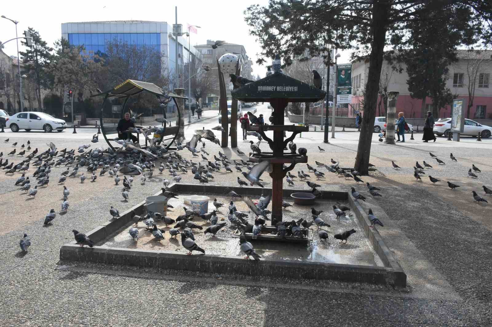 Başkan Tahmazoğlu: "Sıcak havalar hayvanları da olumsuz etkiliyor"
