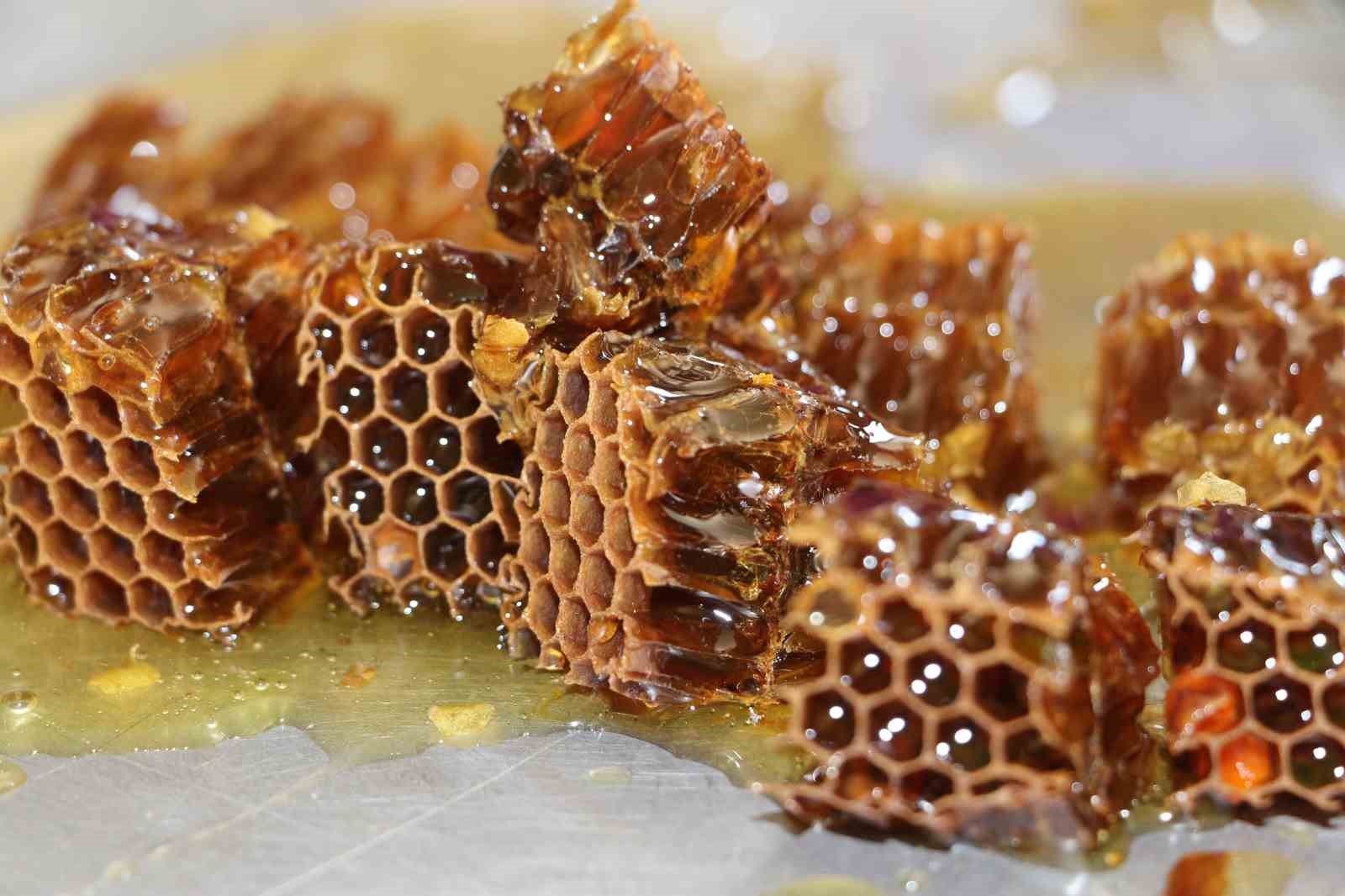 D&uuml;nyaca &uuml;nl&uuml; Anzer balında referans kovanlarında sağım ger&ccedil;ekleşti
