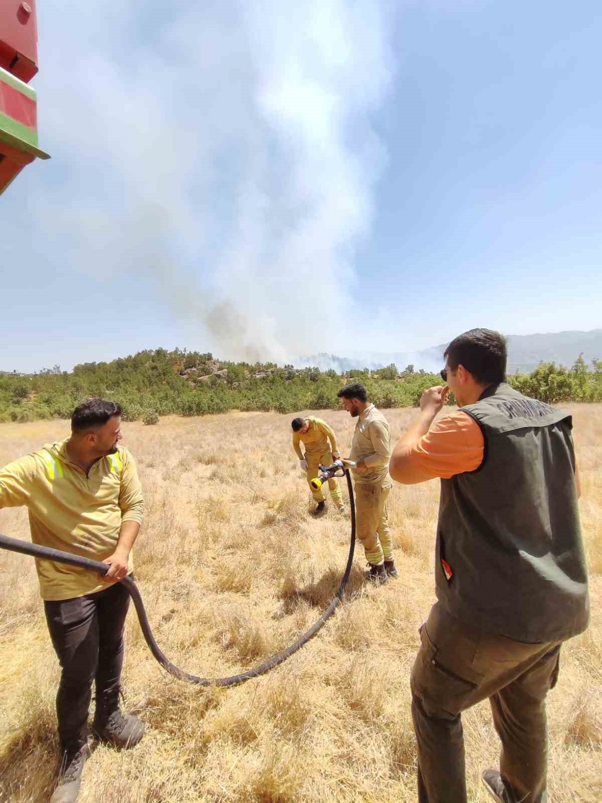Şırnak’ta örtü yangınına havadan ve karadan müdahale
