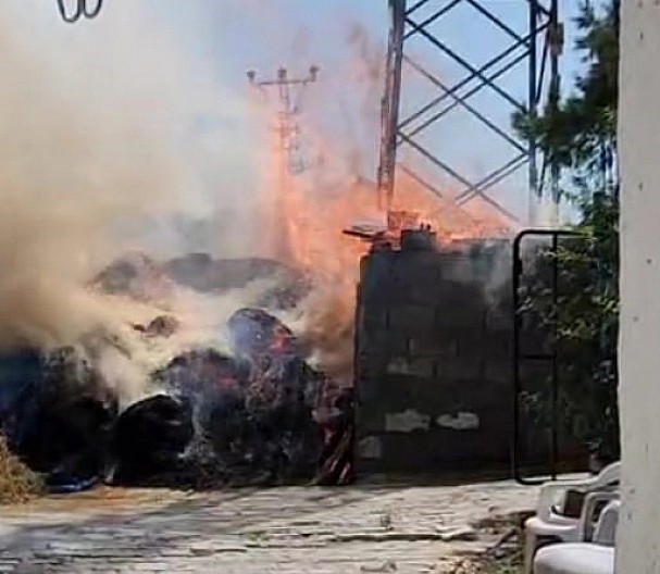 Elektrik kabloları odunlukta yangına neden oldu