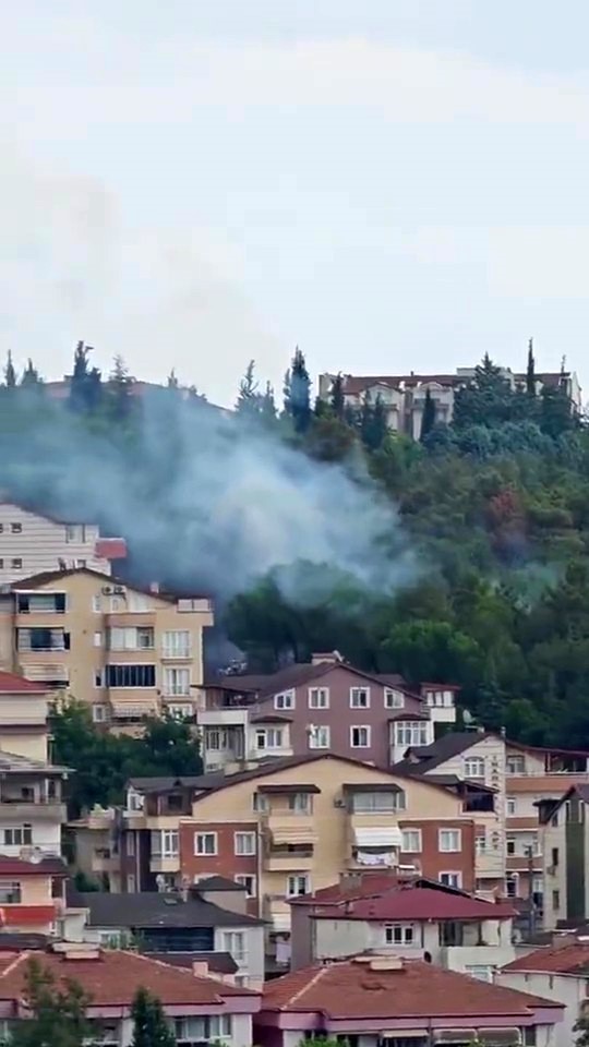 Mahalleli birlik oldu, orman yangınına kovalarla müdahale etti