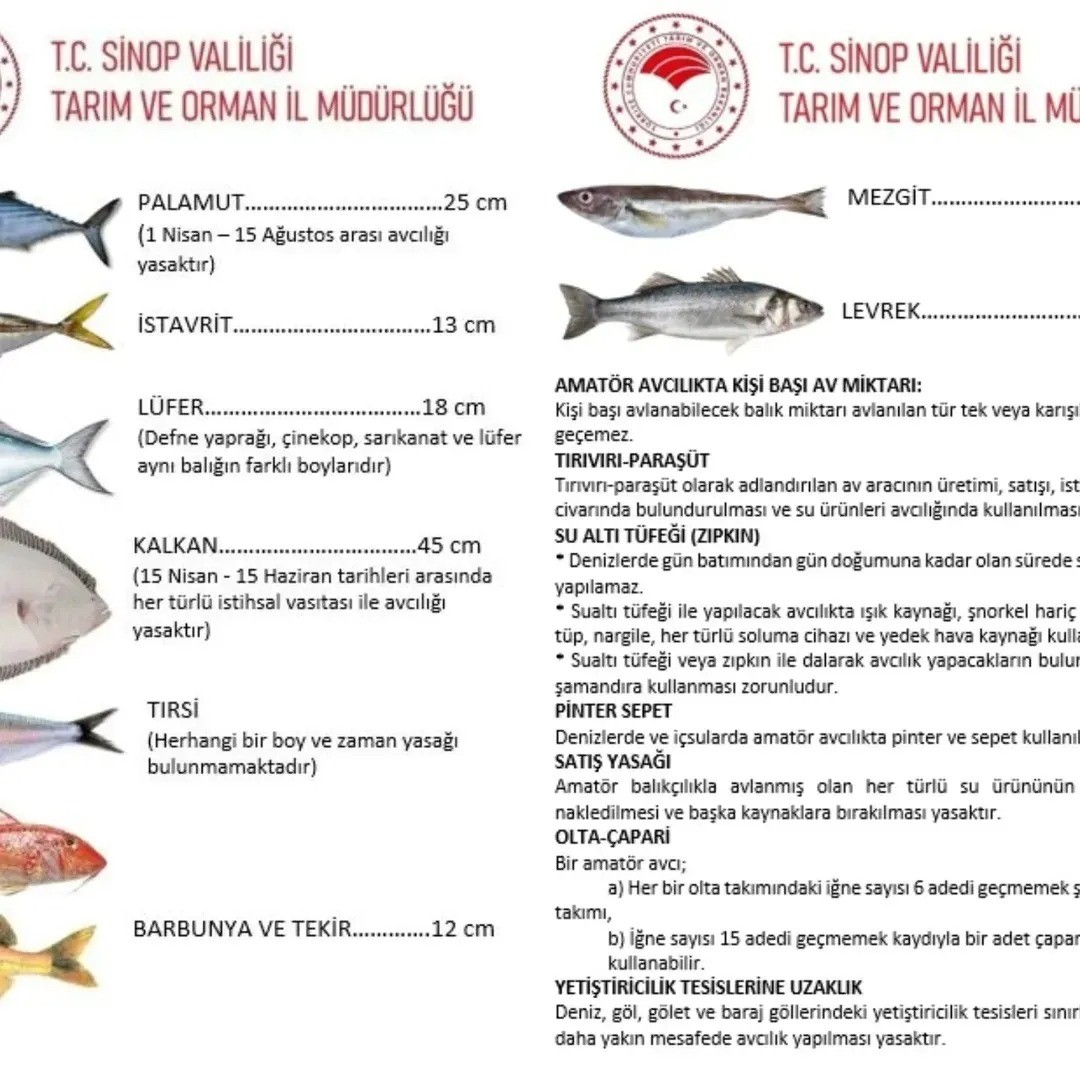 Sinop&rsquo;ta olta avcıları s&uuml;rd&uuml;r&uuml;lebilir balık&ccedil;ılık i&ccedil;in bilgilendirildi
