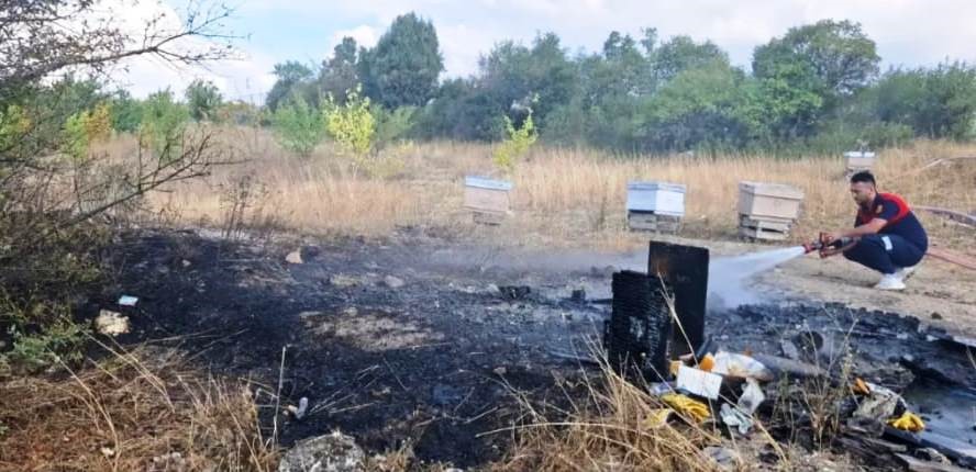 Kütahya’da arazi yangınında 7 arı kovanı kül oldu