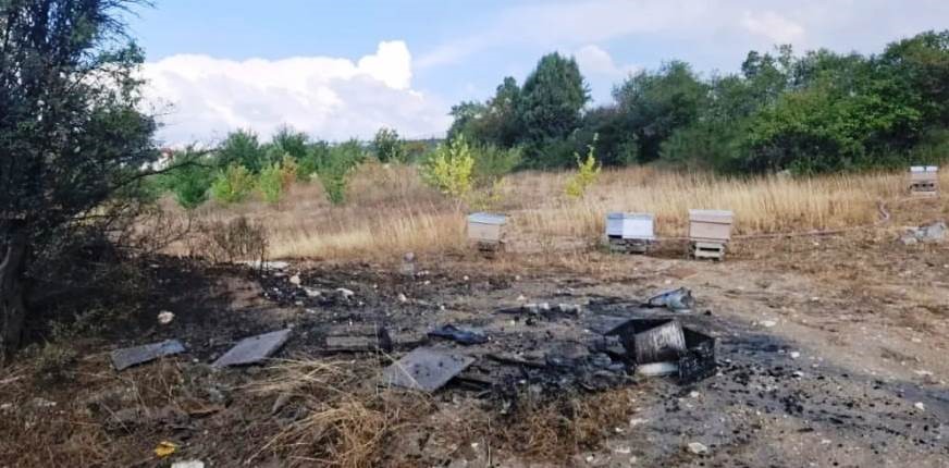 Kütahya’da arazi yangınında 7 arı kovanı kül oldu