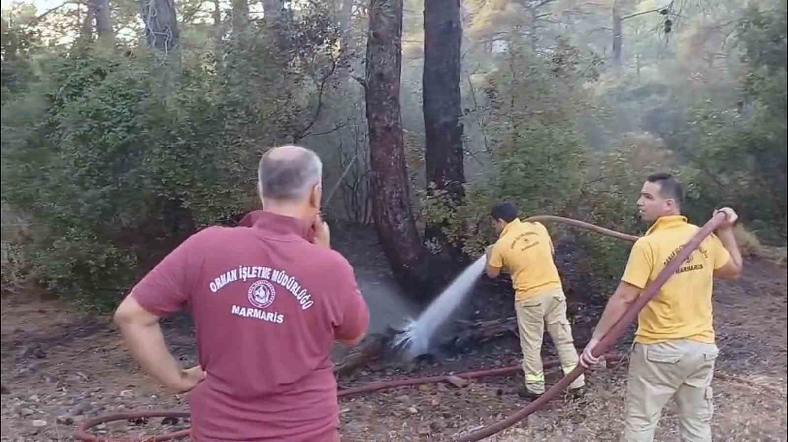 Yıldırım yangını söndürüldü