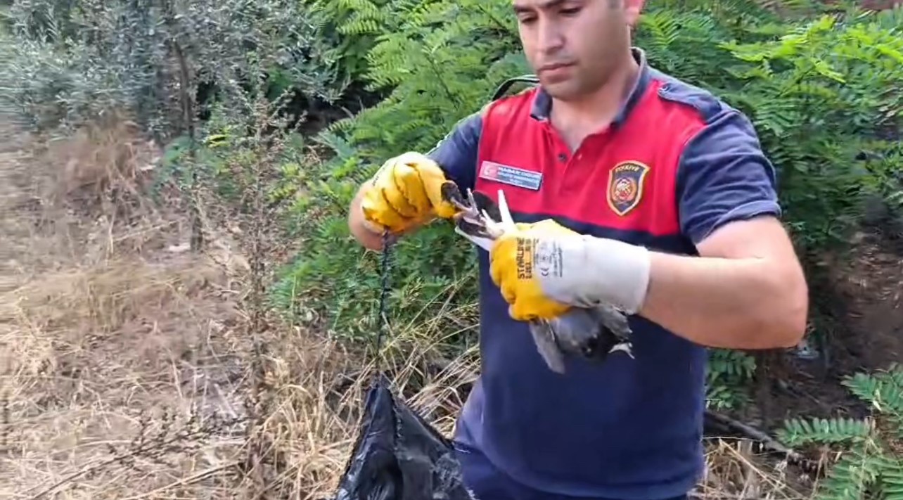 Ayağına poşet dolanan kuşu itfaiye kurtardı
